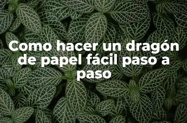 ¿Qué es un dragón de papel y para qué sirve?