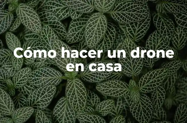 Cómo Hacer un Drone en Casa