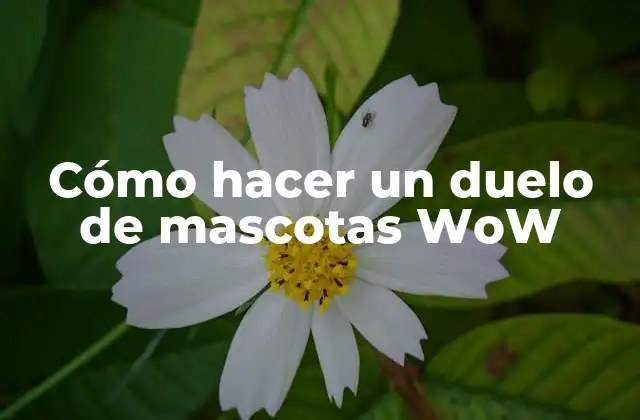 Cómo Hacer un Duelo de Mascotas Wow