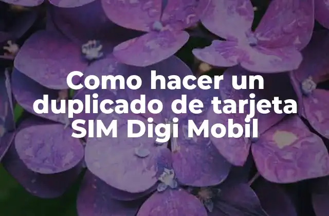 Como Hacer un Duplicado de Tarjeta Sim Digi Mobil