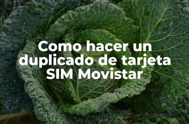 Como Hacer un Duplicado de Tarjeta Sim Movistar