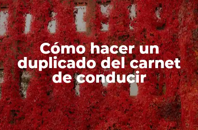 Cómo Hacer un Duplicado Del Carnet de Conducir