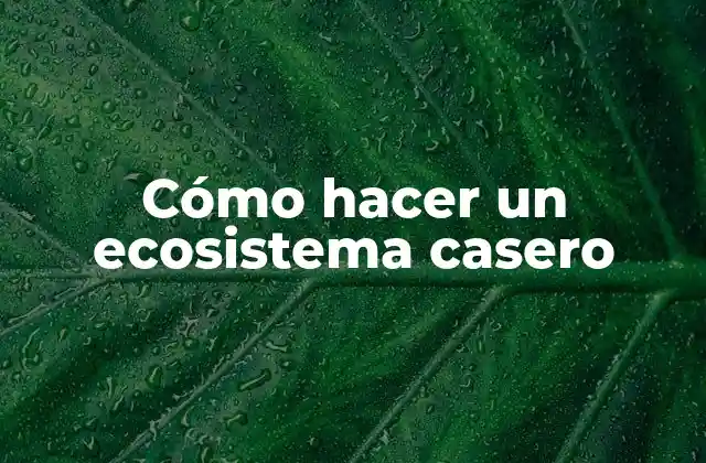 Cómo Hacer un Ecosistema Casero