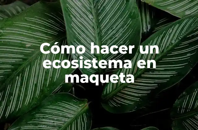 Cómo Hacer un Ecosistema en Maqueta