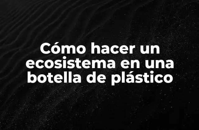 Cómo Hacer un Ecosistema en una Botella de Plástico