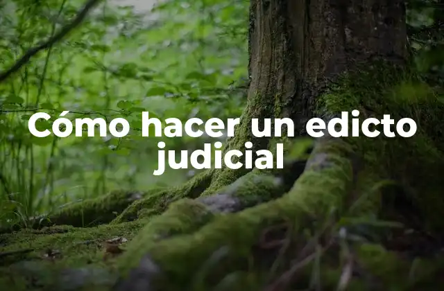 Cómo Hacer un Edicto Judicial