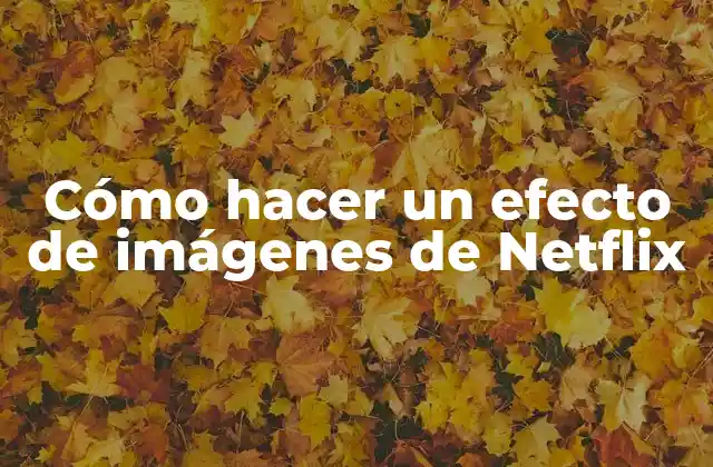 ¿Qué es un efecto de imágenes de Netflix?
