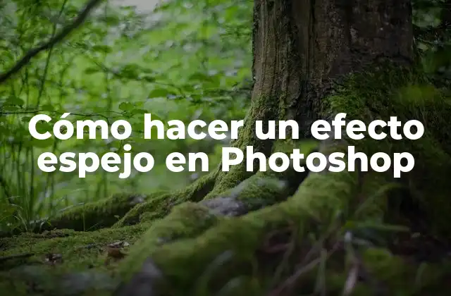 Cómo Hacer un Efecto Espejo en Photoshop
