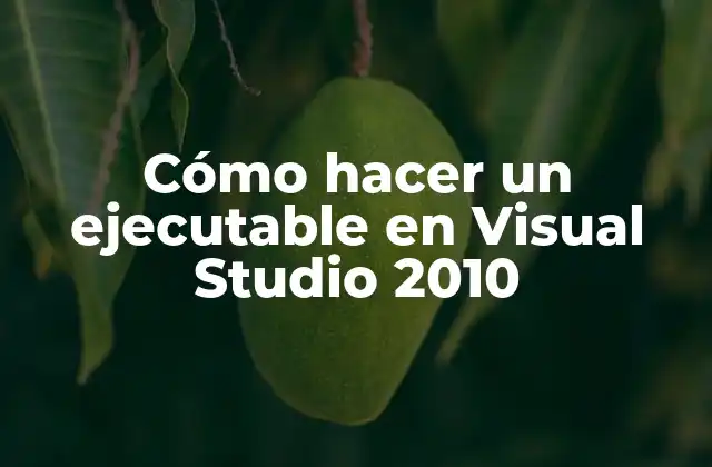 ¿Qué es un ejecutable en Visual Studio 2010?