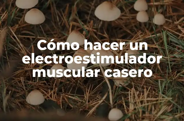 Cómo Hacer un Electroestimulador Muscular Casero