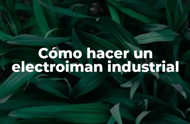Cómo Hacer un Electroiman Industrial 2 ¿Qué es un electroiman industrial?