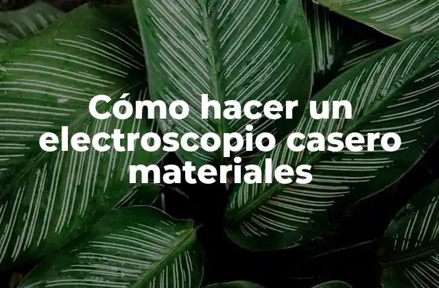 Cómo Hacer un Electroscopio Casero Materiales 2 ¿Qué es un electroscopio casero y para qué sirve?