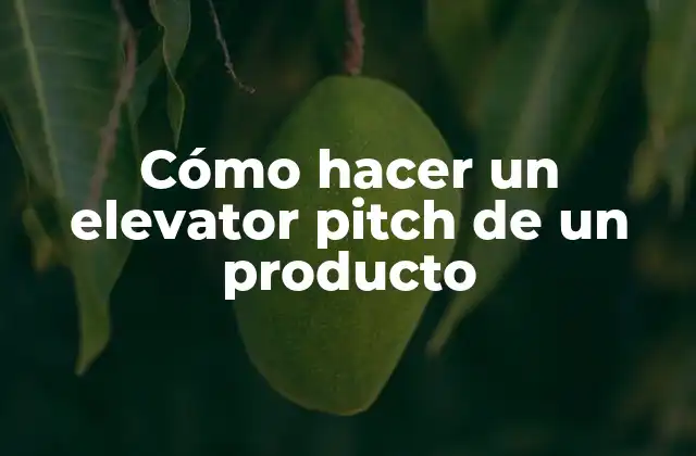 Cómo Hacer un Elevator Pitch de un Producto