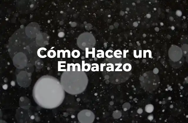 Cómo Hacer un Embarazo