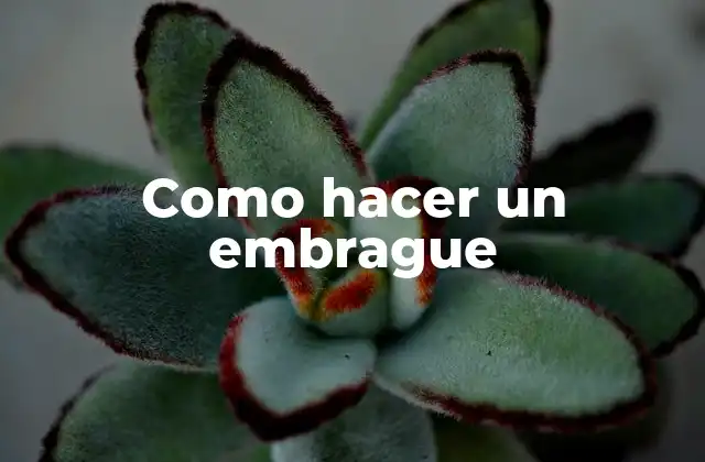 Como Hacer un Embrague