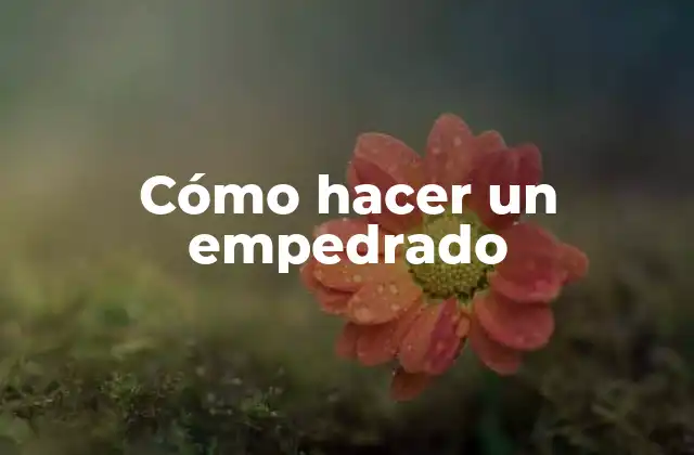 Cómo Hacer un Empedrado