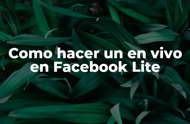Como Hacer un en Vivo en Facebook Lite