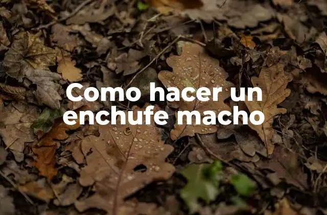 Como Hacer un Enchufe Macho