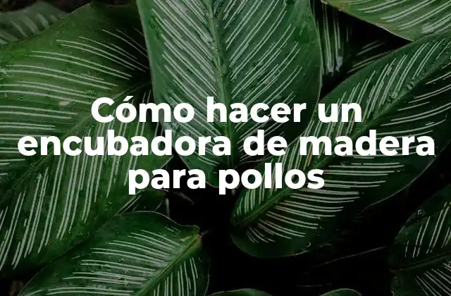 Cómo Hacer un Encubadora de Madera para Pollos