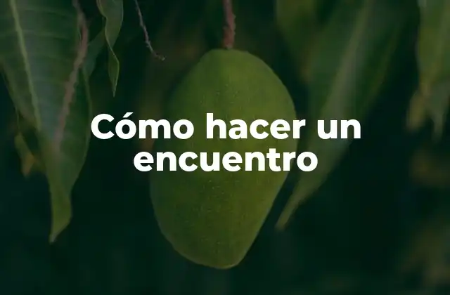 Cómo Hacer un Encuentro