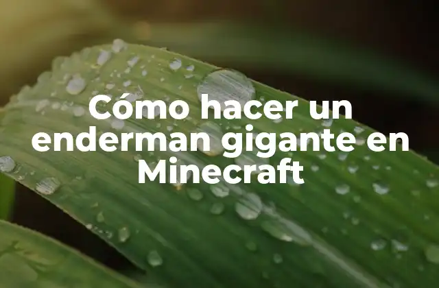 Cómo Hacer un Enderman Gigante en Minecraft