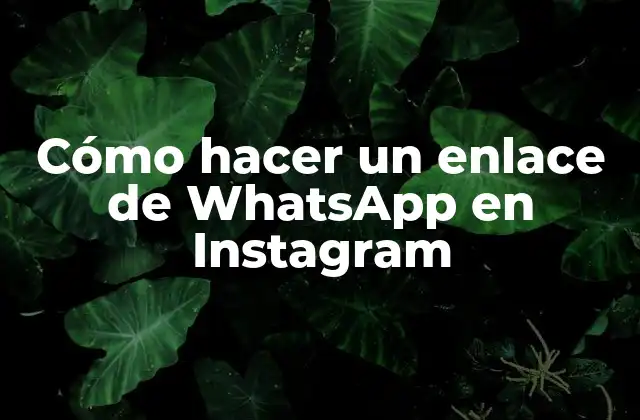 Cómo Hacer un Enlace de Whatsapp en Instagram