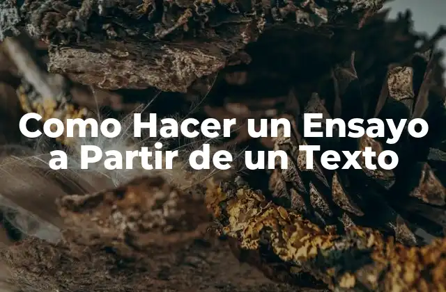Como Hacer un Ensayo a Partir de un Texto