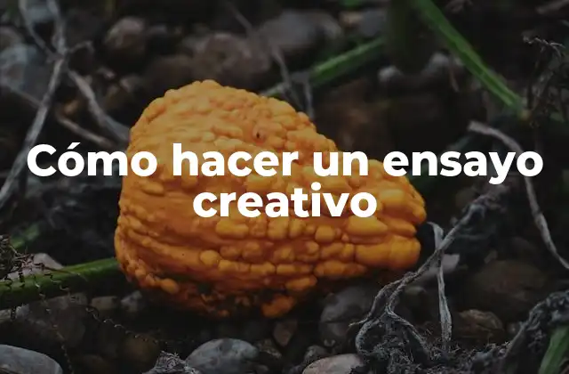 Cómo Hacer un Ensayo Creativo