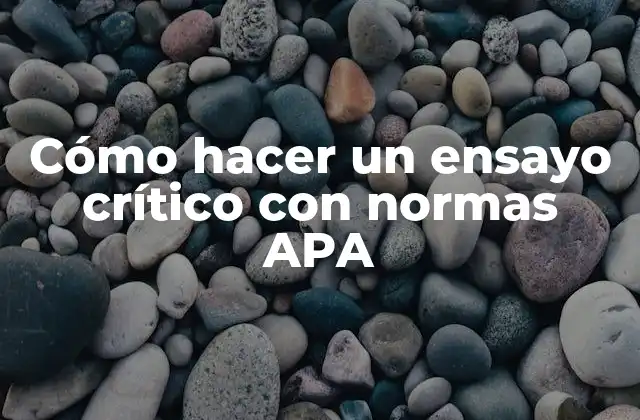 Cómo Hacer un Ensayo Crítico con Normas Apa