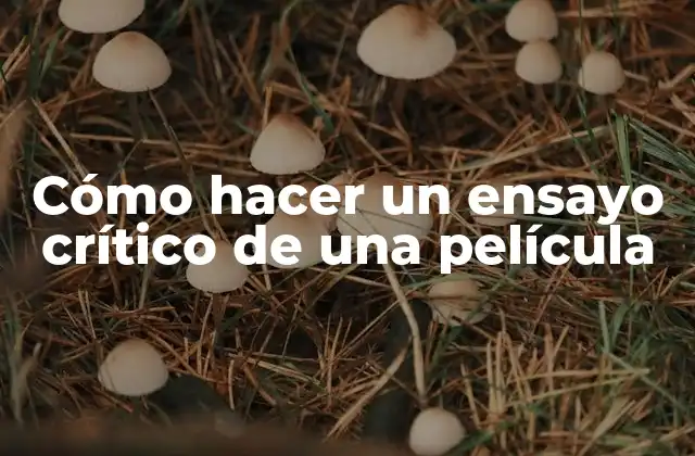Cómo Hacer un Ensayo Crítico de una Película