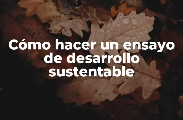 Cómo Hacer un Ensayo de Desarrollo Sustentable 2 ¿Qué es un ensayo de desarrollo sustentable?