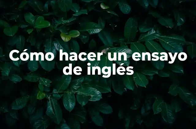 Cómo hacer un ensayo de inglés