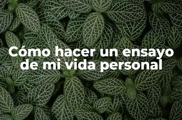 Cómo Hacer un Ensayo de Mi Vida Personal