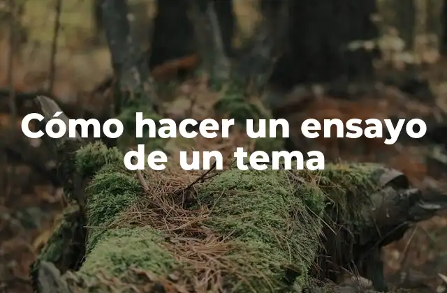 Cómo hacer un ensayo de un tema