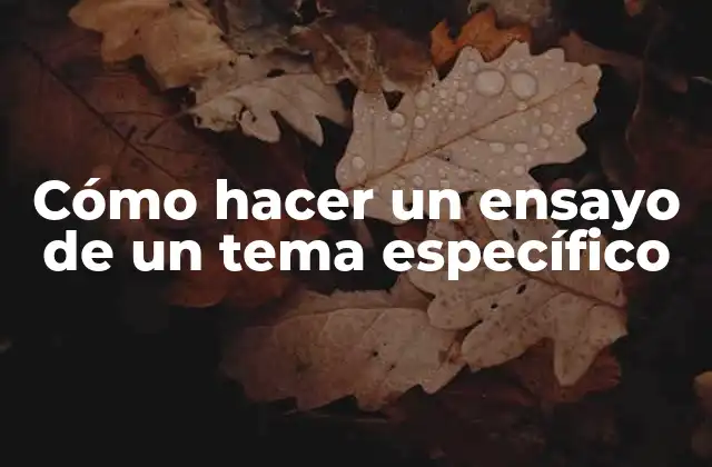 Cómo Hacer un Ensayo de un Tema Específico