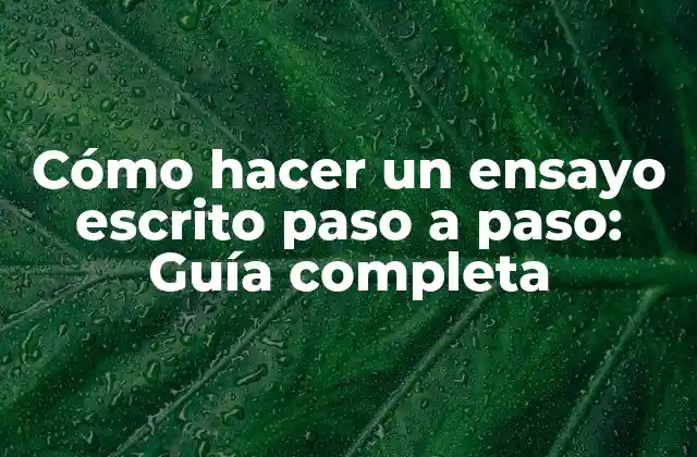 Preparación previa: Investigación y planeación