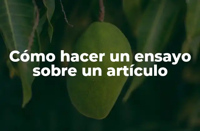 Cómo Hacer un Ensayo sobre un Artículo