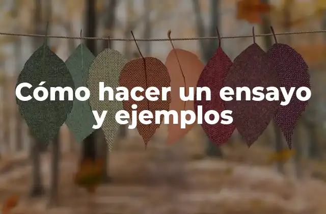 Cómo Hacer un Ensayo y Ejemplos