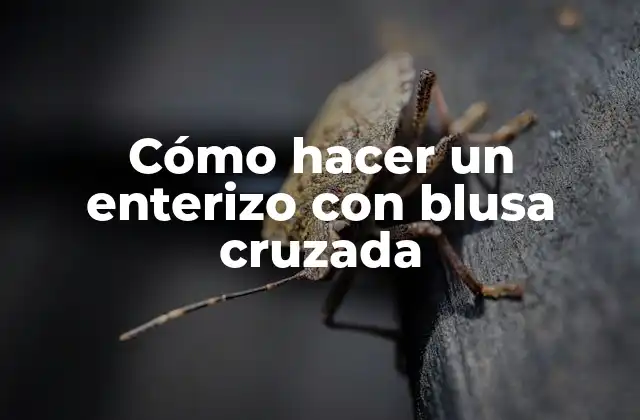 Cómo Hacer un Enterizo con Blusa Cruzada