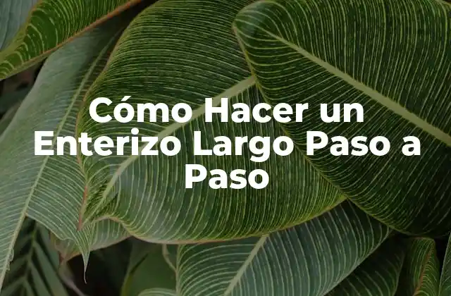 Cómo Hacer un Enterizo Largo Paso a Paso 2 ¿Qué es un Enterizo Largo y Para Qué Sirve?