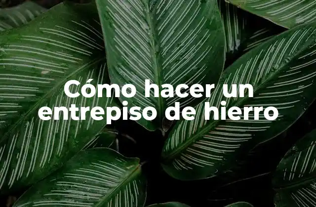 Cómo Hacer un Entrepiso de Hierro