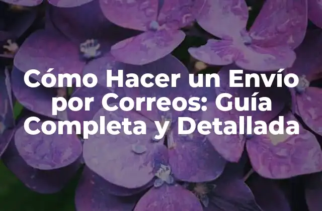 Cómo Hacer un Envío por Correos: Guía Completa y Detallada