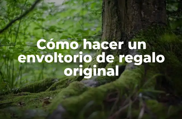 Cómo hacer un envoltorio de regalo original