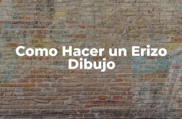 Como Hacer un Erizo Dibujo