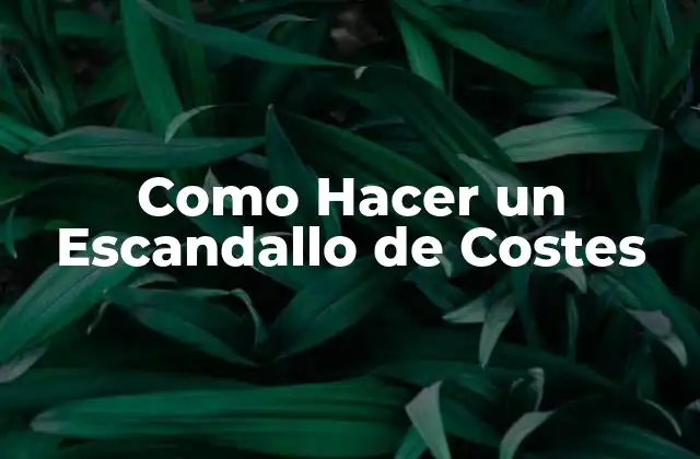 Como Hacer un Escandallo de Costes