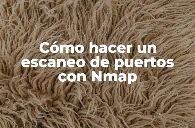 Cómo Hacer un Escaneo de Puertos con Nmap