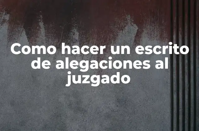 Como Hacer un Escrito de Alegaciones Al Juzgado