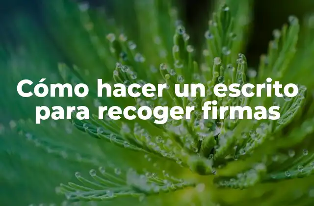 Cómo Hacer un Escrito para Recoger Firmas