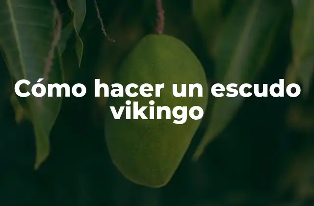 ¿Qué es un escudo vikingo y para qué sirve?