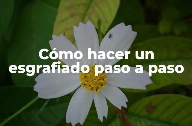 Cómo Hacer un Esgrafiado Paso a Paso